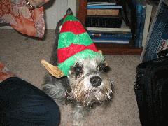 Heather 2006 - IMG_2175.jpg Heather 2006 - IMG_2175.jpg